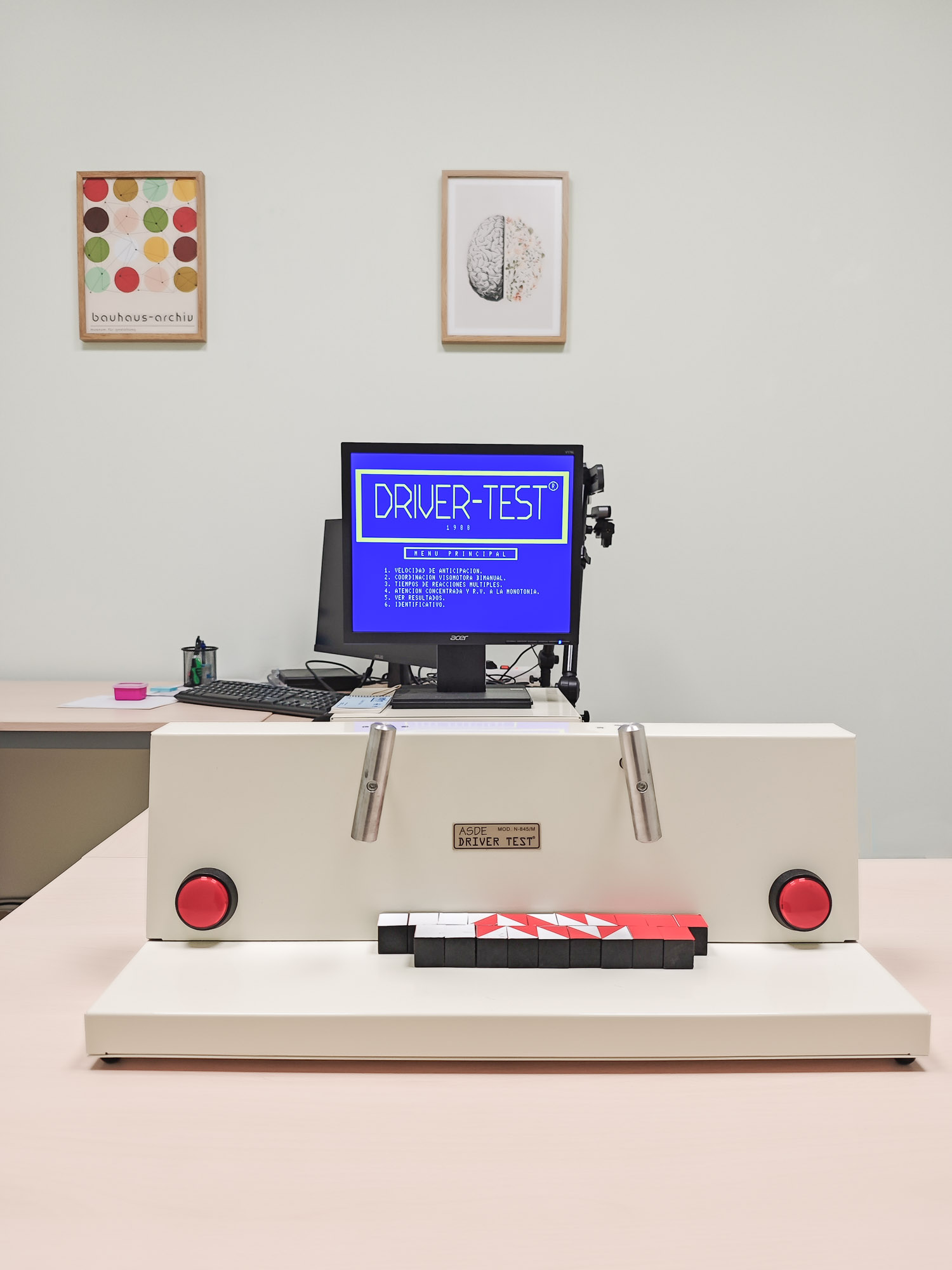 Psicotecnico Ganguren-9